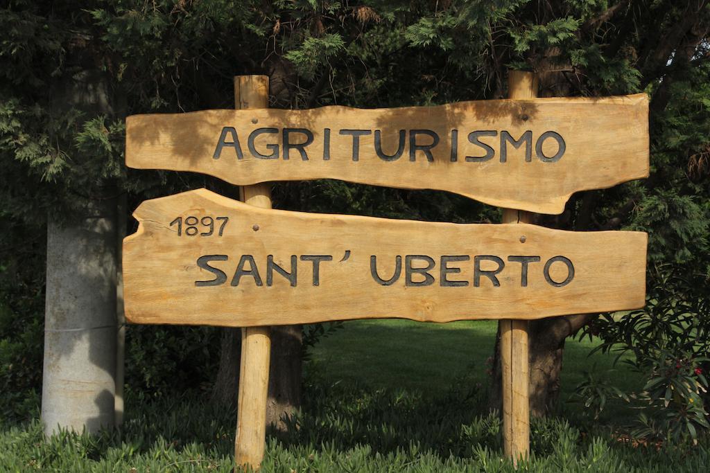 Agriturismo Sant'Uberto Bolgheri Zewnętrze zdjęcie